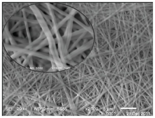 Figure 2 SEM micrograph of compound 1/PVA nanofibers.Note: Inset: magnification 2700×, 13,000×.