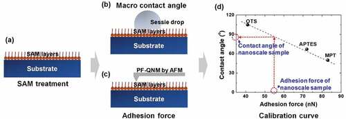 Figure 1. Schematic illustration of nCA measurement process using PF-QNM mode.