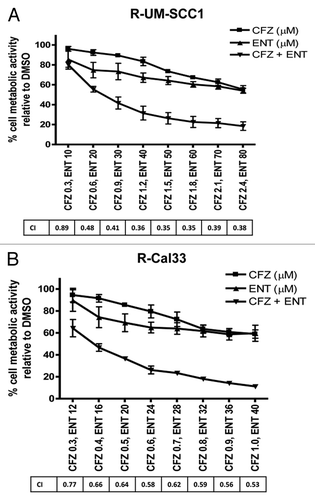 Figure 6. Carfilzomib synergizes with the HDAC inhibitor entinostat (ENT) to kill resistant HNSCC cells. Triplicate wells of R-UMSCC-1 (A) and R-Cal33 (B) cells were treated for 48 h with CFZ or ENT alone, or with fixed ratios of the CFZ/ENT combination, followed by determination of CI values. Error bars represent standard deviations. The experiments were performed three times with similar results.
