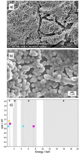 Figure 7. High magnification SEM images and EDS of the nickel coating on the 3D-printed porous electrode with triangular 20 ppi architecture at a mid-point in the porous region. a)1000× image, and c) corresponding EDS spectra. b) Coating microstructure at 5000× magnification.