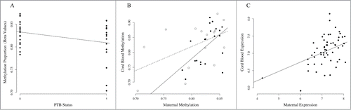 Figure 4. Association of MICB methylation and expression in PTB and TB pairs. (A) Association between cg06284756 in maternal leukocytes and PTB. The x-axis represents PTB status where 0 denotes term birth and 1 denotes PTB. The y-axis represents the methylation levels (β values) for cg06284756. (B) Correlation between maternal methylation (x-axis) and fetal methylation (y-axis) for cg06284756. Open circles represent maternal-fetal pairs that are preterm and closed circles represent pairs that are term. The dashed line represents correlation in PTB pairs, and the solid line represents correlation in term birth (TB) pairs. (C) Correlation between maternal leukocyte MICB expression (x-axis) and fetal leukocyte MICB expression (y-axis).