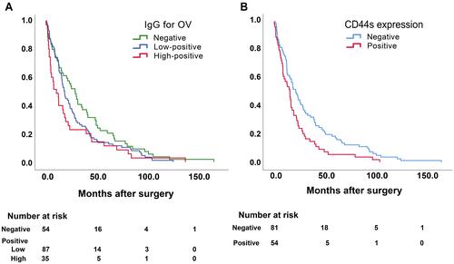 Figure 2 Kaplan–Meier analysis of serum IgG for OV and CD44s expression in 176 CCA patients. (A) Survival by different levels of serum IgG for OV. (B) Survival by different levels of CD44s.