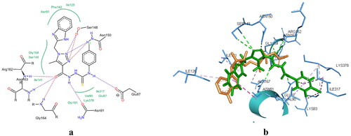 Figure 7. (a) 2D interaction of compound 5a with Topo II active site (PDB code: 1ZXM). (b) Aligned conformation of compound 5a (Green) with co-crystallised ligand (Salmon) inside Topo II.