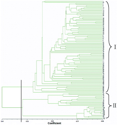 Figure 2. UPGMA dendrogram of the 108 ramie varieties based on SSR and SRAP marker polymorphism. Note: The x-axis represents the genetic similarity coefficient and the distance between two tick marks on the axis scale is 0.024. The numbers I and II on the figure represent the first and the second cluster of the accession, respectively.