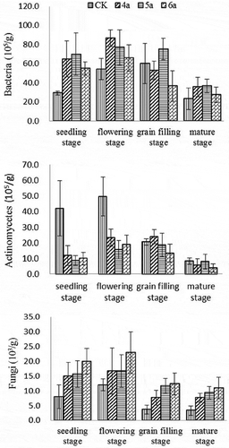 Figure 2. Rhizosphere soil microorganism of common buckwheat.