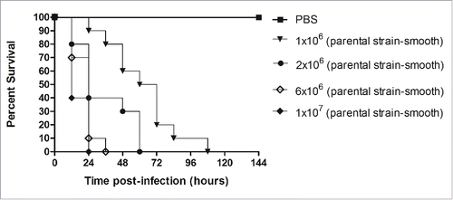 Figure 3. Kaplan-Meier survival curves for G. mellonella larvae infected with different concentrations of C. tropicalis isolate 49.07 (parental strain) yeast cells. Time of larvae death was inoculum dependent. The lowest dose (1×106) resulted in significantly lower mortality than inoculation of 2×106 yeast cells per larvae (P = 0.0123, log-rank test). On the other hand, the highest dose (1×107) resulted in significantly higher mortality than inoculation of 2×106 yeast cells per larvae (P = 0.0159, log-rank test) and 1×106 yeast cells per larvae (P = 0.0001, log-rank test). Control included larvae injected with PBS. Results from three independent experiments are shown (n = 10). P value < 0.05 was considered significant (log-rank test).