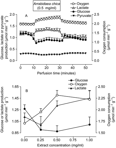 Figure 4.  Effects of the extract of Arrabidaea chica on metabolic fluxes in perfused livers isolated from fed rats. (A) Time course of the changes caused by the extract in glycogen catabolism and oxygen uptake. The extract (1.0 mg/ml) was infused at 10-30 min, as indicated by the horizontal bar. (B) Concentration dependence of the effects of the A. chica extract on glucose and lactate release and oxygen consumption. The experimental protocol was the same described for A. Each data point is the mean ± SEM of three experiments.
