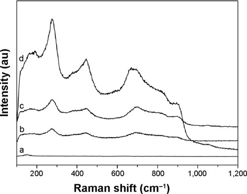 Figure 3 Raman spectra of the samples with hydrothermal treatment at different temperatures.Notes: (a) Untreated Ti. (b) Ti100. (c) Ti140. (d) Ti150.