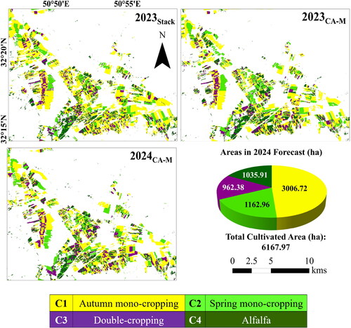 Figure 10. Comparison of 2023 Cropping Intensity pattern (CIP) maps derived from the proposed stack (2023Stack) model and cellular Automata-Markov (CA-M) (2023CA-M) model. The forecasted CIP map of 2024 using CA-M model is also provided (2024CA-M).