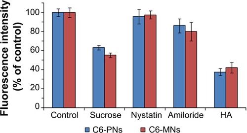 Figure 7 Effect of endocytic inhibitors on the internalization of C6-PNs and C6-MNs in A549 cells (n=3).Notes: A549 cells were pretreated with 0.45 M sucrose, 15 μg/mL nystatin, 50 μM amiloride, and 10 mg/mL HA for 1 hour and then, treated with C6-PNs and C6-MNs for 2 hours at 37°C. A549 cells incubated with C6-PNs and C6-MNs without inhibitors were used as controls. The fluorescence intensity of each group was evaluated by FCM.Abbreviations: C6-MNs, coumarin-6 loaded mixed nanoparticles; C6-PNs, coumarin-6 loaded plain nanoparticles; FCM, flow cytometry; HA, hyaluronic acid.