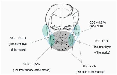Figure 7 The distribution of simulated viral content in the different regions of facemask and face skin.