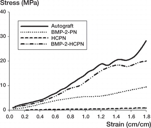 Figure 3. Representative stress-strain curves obtained by axial tensile testing. Longitudinal tensile stress of the 2 adjacent vertebral bodies (fifth and sixth) was measured using vice-type holders connected to a measuring device.