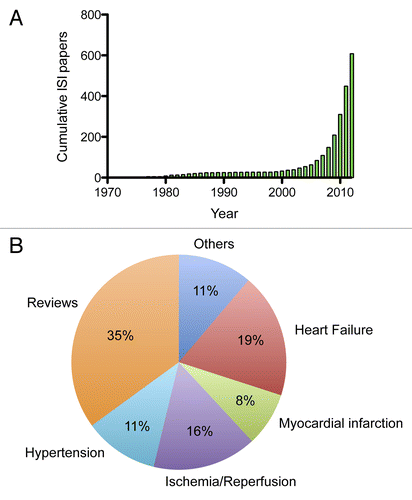 Figure 1. Autophagy in cardiovascular disease. (A) Number of published papers per year related to autophagy and cardiovascular disease listed in PUBMED. (B) Pie chart shows the percent of papers focusing on the major topics of cardiovascular research.