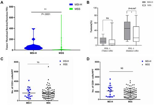 Figure 3 Neoantigen load and PD-L1 expression level in MSI-H and MSS EC. (A) TMB per megabase in tumor DNA exons and introns detected by ColoSeq. Blue and green represent MSI-H and MSS tumors, respectively. (B–D) Average numbers of PD-L1–expressing tumor cells and TILs (B), CD3+ immune cells (C), and CD8+ immune cells (D) identified by IHC. NS, nonsignificant at p>0.05, *p<0.05, **p<0.01 (Mann–Whitney U-test).