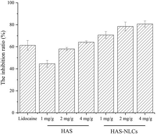 Figure 8. The inhibitory effect of lidocaine, HAS, and HAS-NLCs in formalin test compared to saline.