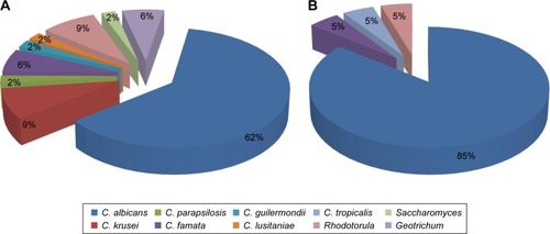 Figure 1 The amount of the yeast-like fungal species in type 1 diabetes mellitus children (A) and the control subjects (B).