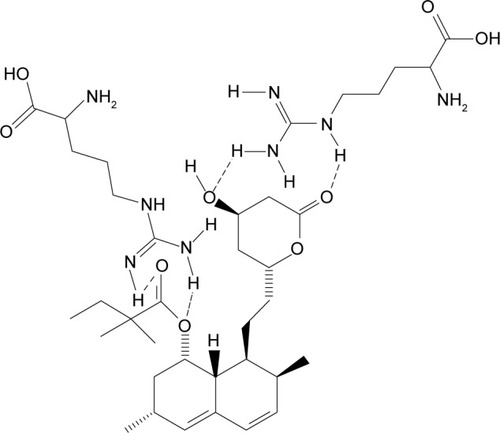Figure 3 Molecular structure of proposed simvastatin–arginine complexation based on NMR results.