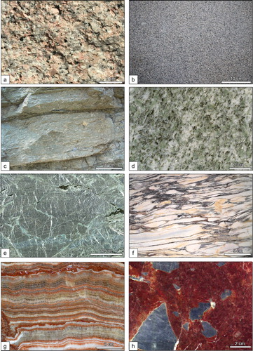 Figure 2. Examples of ornamental stones of Piemonte: (a) Baveno Granite, Verbano Cusio Ossola – Sesia Valley district; (b) Balma Syenite, Canavese – Biellese district; (c) Luserna Stone, Cottian Alps district; (d) Verde Selene, Canavese – Biellese district; (e) Verde Alpi, Cottian Alps district; (f) Cipollino di Valdieri, Maritime and Ligurian Alps district; (g) Busca Onyx, Cottian Alps district; (h) Persichino di Corsaglia, Maritime and Ligurian Alps district.