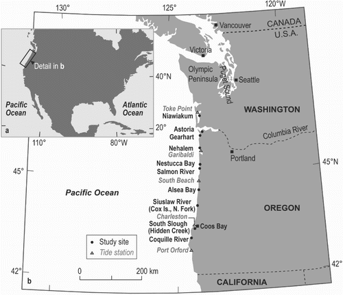 Fig. 1. Location of study sites (filled circles) along the coast of Oregon and Washington in the northwestern United States. Triangles indicate tide gauge stations (labeled in gray).