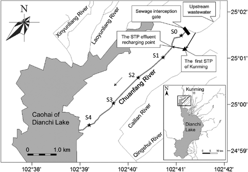 Figure 1. Map of Chuanfang River and the sampling sites.