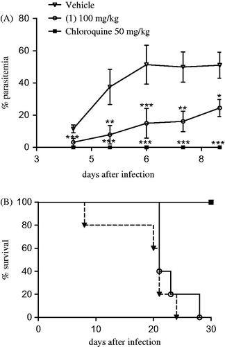 Figure 5. (A) Blood parasitemia and (B) survival in P. berghei-infected mice. Swiss Webster mice (n = 5/group) were infected with P. berghei and then treated daily for four consecutive days. Compound 1 was given by intraperitoneal injection, chloroquine by oral gavage. Values represent the means ± SEM of one experiment (n = 5). (A) *p < 0.05; **p < 0.01; ***p < 0.001 in comparison to vehicle group. (B) According to the Log-rank (Mantel Cox) analysis, there is no statistically significance between vehicle and compound 1.