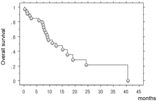Figure 1 Kaplan–Meier curve showed post-treatment survival in all patients.