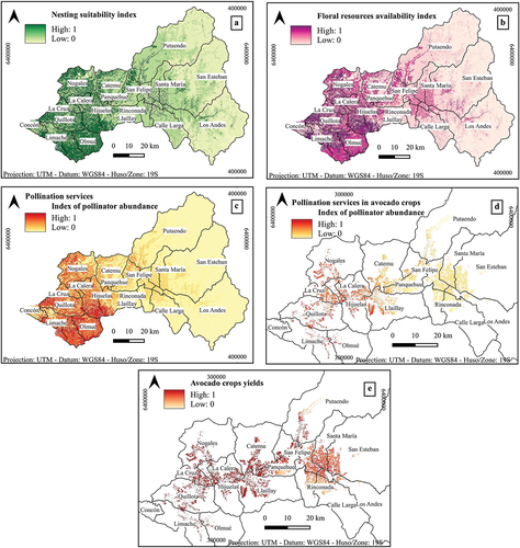 Figure 5. Maps obtained from InVEST’s crop pollination model in the Aconcagua river basin: (a) Map of availability of ground nesting sites for native bees, (b) Map of availability of floral resources for native bees, (c) Map of pollination service provided by native bees, (d) Map of pollination services provided by native bees in avocado crops, (e) Yield map of avocado crops.