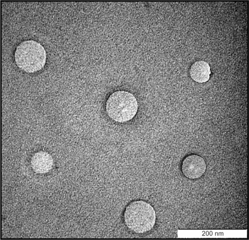 Figure 1 Transmission electron microscope image of itraconazole-loaded nanostructured lipid carriers.