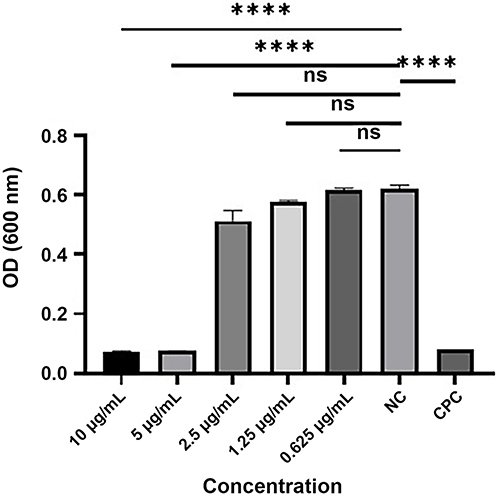 Figure 3 OD results of each group of solutions at 600 nm after 24 h incubation. (ns, P>0.05, ****P<0.0001).