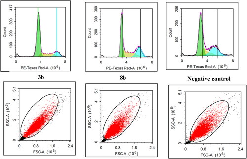 Figure 8. The effect of 3b and 8b on cell cycle distribution of the breast cancer T47D cell line after 48 h incubation.