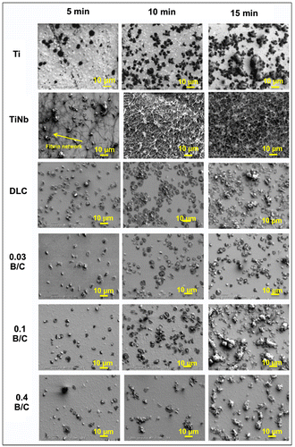 Figure 10. SEM images of platelets adhered on surface of uncoated Ti and TiNb substrates and DLC and boron doped DLC films coated on TiNb substrates.　