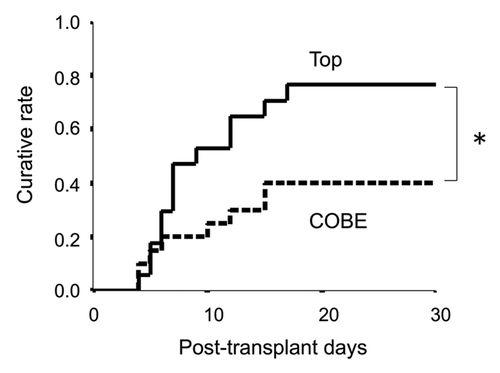 Figure 4. Normoglycemic rate of streptozotocin-induced diabetic nude mice after islet transplantation. COBE indicates COBE purification method (n = 19); top, bottle purification method with top loading (n = 18). *p < 0.05.