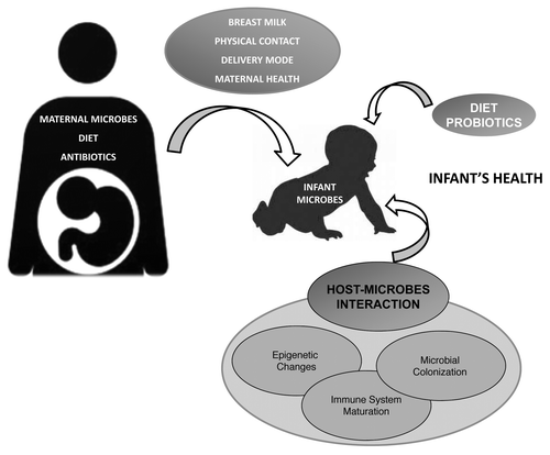 Figure 1. Factors influencing early microbiota colonization and its impact on infant health. Neonatal bacterial colonization is determined by environmental factors (e.g., maternal environment and diet) combined with host influences (genetics and gut characteristics). Maternal microbial environment affects maternal and fetal immune physiology and, of relevance, this interaction with microbes at the fetal-maternal interface could be modulated by specific microbes administered to the pregnant mother and/or neonates. The genetically-determined gut characteristics (structure, function, immunity), and the time and mode of birth (preterm, term, cesarean, vaginal), are crucial factors as well as maternal microbiota and nutritional status together diet (parenteral nutrition, formula, breast milk, and also, use of probiotics, prebiotics and/or antibiotics).