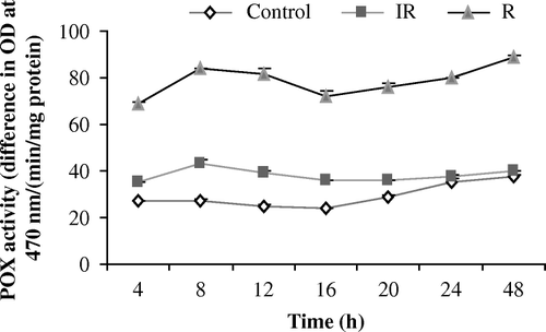 Figure 4.  Efficacy of Viscum album extract on peroxidase activity in pearl millet seedlings. Peroxidase activity was calculated by taking the means of two experiments. Bars indicate the standard error of the mean value. IR, induced resistant; R, resistant.