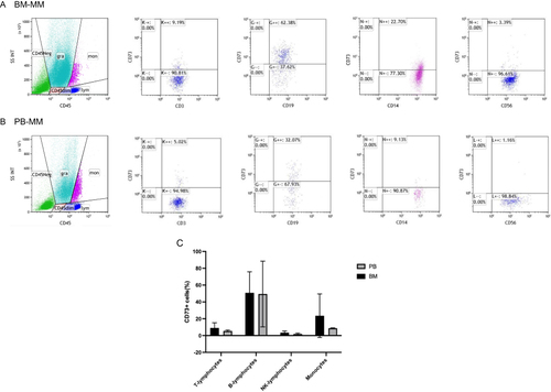 Figure 1 Immune cells in BM and PB from patients with MM expressed high levels of CD73. (A) Representative analysis of CD73 expression in T-, B-, and NK-lymphocytes and monocytes of BM. (B) Representative analysis of CD73 expression in T-, B-, and NK-lymphocytes and monocytes of PB. (C) Quantitative comparison of CD73 expression in T-, B-, and NK-lymphocytes and monocytes of BM and PB.