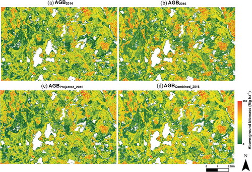 Figure 5. Aboveground biomass map for (a) 2014 (AGB2014) and (b) 2016 (AGB2016) as well as (c) growth-projected aboveground biomass (AGBProjected_2016) and (d) combined aboveground biomass (AGBCombined_2016) maps covering the study area (61.19°N, 25.11°E). AGBProjected_2016 and AGBCombined_2016 maps should only be used for undisturbed areas.