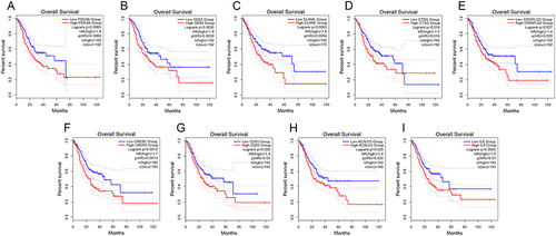 Figure 1 Identification of prognostic NETs-related genes in GC from TCGA dataset. Kaplan-Meier curves for the nine prognostic NETs-related genes, including (A) PDE4B. (B) G0S2. (C) ELANE. (D) CTSG. (E) CRISPLD2. (F) CREB5. (G) CD93. (H) KCNJ15. (I) IL6.