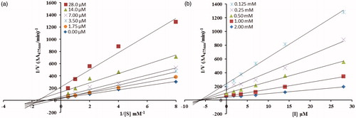 Figure 3. (a) Lineweaver–Burk plots for the inhibition of the diphenolase activity of mushroom tyrosinase by various concentrations 0.00, 1.75, 3.5, 7, 14 and 28 µM of compound 5d in the presence of different concentrations 0.125, 0.25, 0.5, 1 and 2 mM, of L-DOPA. (b) Dixon plots for the inhibition of the diphenolase activity of mushroom tyrosinase by various concentrations of compound 5d in the presence of different concentrations 0.125, 0.25, 0.5, 1 and 2 mM, of L-DOPA.