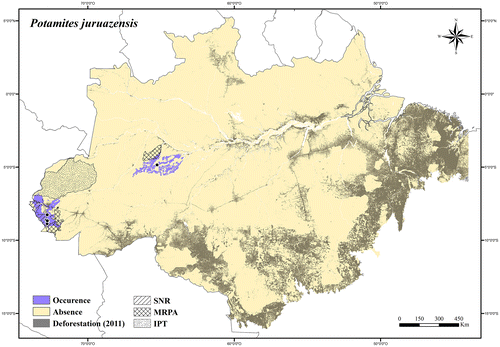 Figure 60. Occurrence area and records of Potamites juruazensis in the Brazilian Amazonia, showing the overlap with protected and deforested areas.