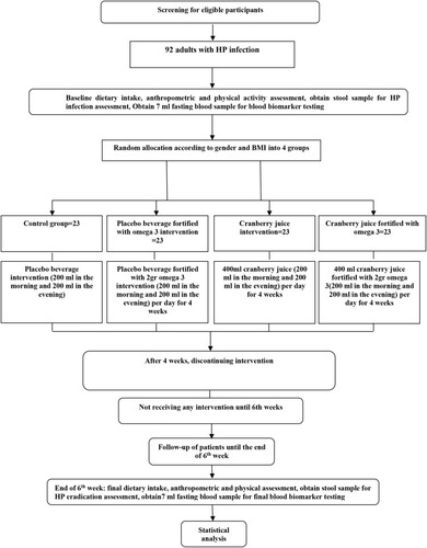 Figure 1 Protocol flow diagram; We will conduct a 4-week parallel-group, randomized controlled trial to determine the effects of concurrent omega-3 and cranberry juice consumption on eradication of Helicobacter pylori, gastrointestinal symptoms, some serum inflammatory and oxidative stress markers in adults with Helicobacter pylori infection.