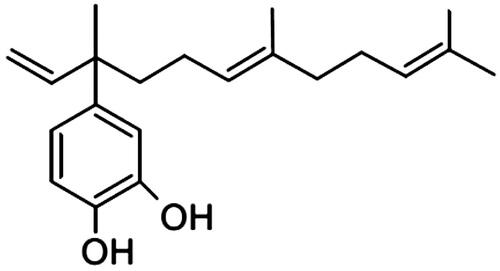 Figure 1. Chemical structure of 4-nerolidylcatechol (4-NRC), the main secondary metabolite found in Brazilian plants such as Pothomorphe umbellata.