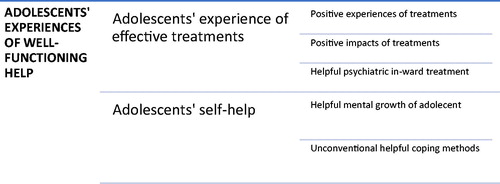 Figure 2. Adolescents’ experiences of well-functioning help.
