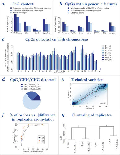 Figure 1. Analysis of MC Seq data. a – CpG content distribution of CpGs (island, shore, shelf, and open sea). Height of bar graphs represent number of CpGs covered by MC Seq, where dark, medium and light blue bars represent maximum possible within 200 bases of target region list, maximum possible within target region list and observed CpGs (for one sample), respectively. b – Functional genomic distribution of CpGs (promoter, 5′-UTR, exon, intron, 3′-UTR, TTS, and intergenic). Height of bar graphs represent number of CpGs covered by MC Seq, where dark, medium and light blue bars represent maximum possible within 200 bases of target region list, maximum possible (within target region list) and observed CpGs (for one sample), respectively. c – Chromosome distribution of CpGs for all 7 buccal samples. Height of bar graphs show number of CpGs detected at each chromosome normalized by number of CpGs on the chromosome in human epigenome (hg19). Male sample M7_Chi shows a peak in normalized number of CpGs detected on Y chromosome. d – Pie chart showing number and percentage of methylation sites detected within CpG, CHG, and CHH context for one sample. e – Pearson correlation and scatterplot of methylation values from MC Seq for replicate 1 (horizontal axis) and replicate 2 (vertical axis) for one sample. Color represents density of CpG sites, with darker blue indicating higher density of CpG sites and lighter blue indicating lower density of CpG sites. Five hundred randomly selected CpG sites are shown as black points. Dotted line gives y=x line, solid line gives best-fit line; overlapping lines indicate high concordance between replicates. f – Cumulative percentage of probes (vertical axis) vs. absolute difference in methylation between replicates (horizontal axis), at ≥10X (solid line), ≥30X (dashed line), ≥50X (dotted line) and ≥70X (dotted-dashed line) reads coverage, for one sample. g – Hierarchical clustering analysis of replicates show that replicates cluster together. Corresponding plots for a-b and d-g for other samples are provided in Supplementary Figs. 1–5.