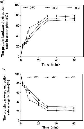 FIGURE 5 The protein backward extraction rate versus time for the effect of temperature, pH on the aqueous phase 7, [KCl] 1 mol/L. (a) Effect of temperature on the protein backward extraction rate in water phase (E) with variation of the time. (b) Effect of temperature on the protein backward extraction rate in organic phase (E’) with variation of the time.