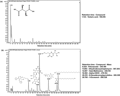 Figure 2. Gas and liquid chromatography–mass spectrometry (GLC-MS) spectra of (a) purified TrMF or methanol fraction and (b) purified TrWF or water fraction of Tamarindus indica L. fruit pulp (including exocarp)