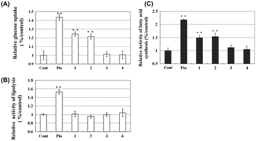 Fig. 3. 13C6-Glucose Uptake (A), Glycerol Output (B), and De novo 13C-FA Synthesis (C) in 3T3-L1 Adipocytes after the addition of compounds as determined by LC/MS analysis of the medium at 48 h. Incubation. 13C6-Glucose uptake and glycerol output of 3T3-L1 adipocytes after addition of coumarins and polymethoxyflavones were determined by LC/MS. The concentrations of 13C6-glucose and glycerol were determined by the LC/MS system at 185 m/z (13C6-glucose) and 91 m/z (glycerol) respectively. De novo synthesis of palmitic acid was monitored by analyzing 271 (m/z). Lane 1, control; lane 2, pioglitazone; lanes 3–4, compounds 1 and 2; lanes 5 and 6, compounds 3 and 4, respectively. Lane 1, control; lane 2, pioglitazone; lanes 3 and 4, compounds 1 and 2; lanes 5 and 6, compounds 3 and 4, respectively. Concentrations (in μm) at all data points is 5.0 **p < 0.05 compared to control.