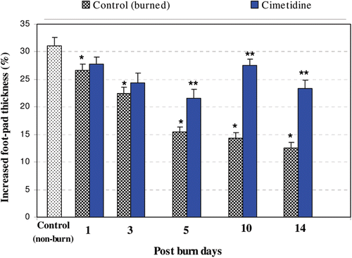 Figure 1.  DTH responses as a result of thermal burn injury and effects of pre-/co-treatment with cimetidine. Degrees of DTH responses were significantly decreased at PBD 1, 3, 5, 10, and 14, as compared with un-burned controls (p < 0.050, 0.001, 0.0001, 0.0001, and 0.0001, respectively). Administration of cimetidine significantly mitigated effects of the burn injury on the DTH responses at PBD 5, 10, and 14 (values compared to those in injured mice that did not receive the drug; using t-test = p < 0.01, 0.001, and 0.001, respectively). * Significant difference between burn and non-burn groups. ** Significant difference between cimetidine-/non-cimetidine-treated burn mice on a given day.