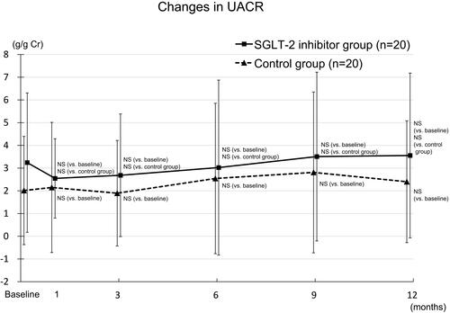 Figure 4 Changes in UACR in the SGLT-2 inhibitor and control groups.Abbreviations: NS, not significant; SGLT-2, sodium-glucose cotransporter-2; UACR, urine protein-to-creatinine ratio.