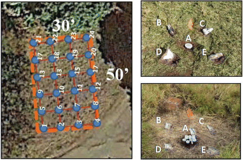 Figure 2. Design of discrete soil sample collection for individual grid points. Left: Twenty-four point grid established for sample collection (Study Site B grid depicted). Upper right: Grid point sample collection design for Study Site A (arsenic) and Study Site B (lead); multiple XRF tests of Sample A used to assess intra-sample variability and individual testing of Samples A–E used to assess inter-sample variability. Lower right: Grid point sample collection design for Study Site C (PCBs); intra-sample variability tested by placing subsamples of the sixth sample in ten separate jars for individual testing and individual testing of Samples A–E (bags) used to assess inter-sample variability.