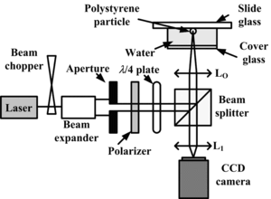 Figure 6 Experimental setup. The laser beam wavelength was λ = 532 nm. The numerical aperture of the objective lens LO was 0.75 or 0.90. A suspension of polystyrene particles was set in the focal plane of the objective lens.